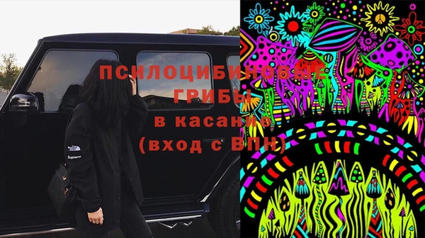 трава Белокуриха
