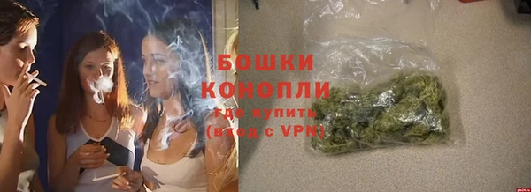 трава Белокуриха
