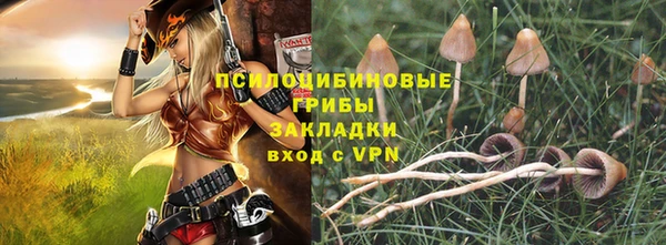 шишки Сафоново