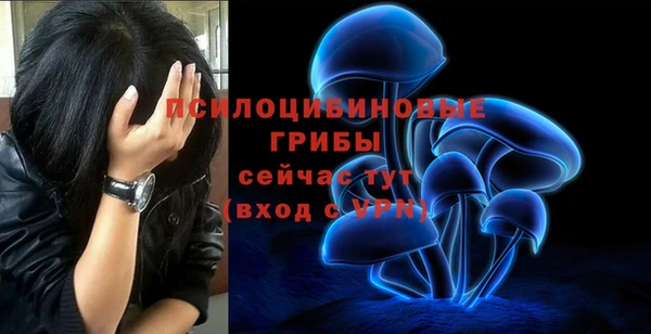 трава Белокуриха